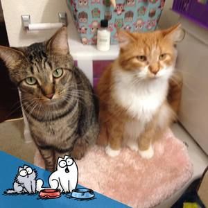 Meet your Posher, Cassie